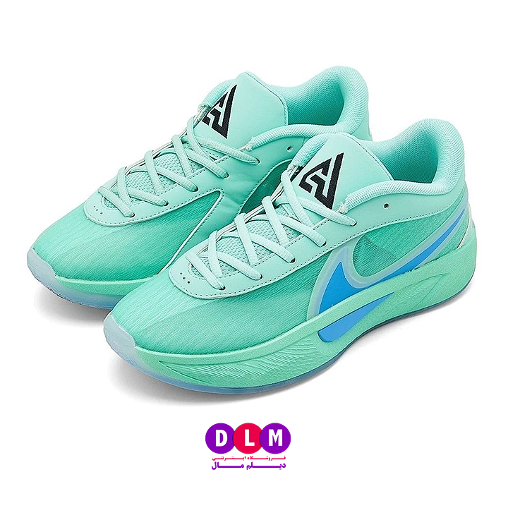 کفش بسکتبال نایک زوم فریک 6 / Nike Zoom Freak 6